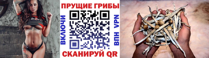 MEGA ссылки Яблоновский Псилоцибиновые грибы мухоморы хочу